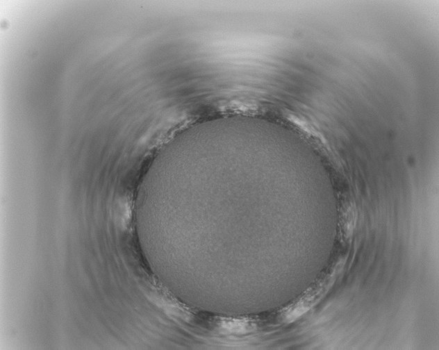 X0000088430709200705291525