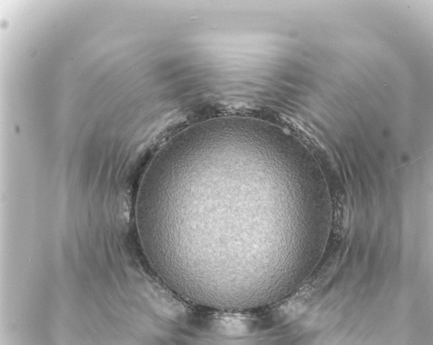 X0000088430710200705291525