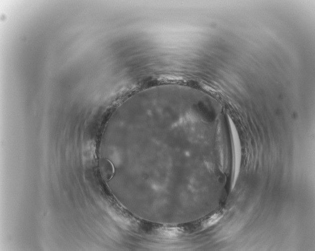 X0000088430711200705291525