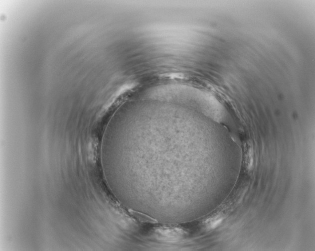 X0000088430712200705291525