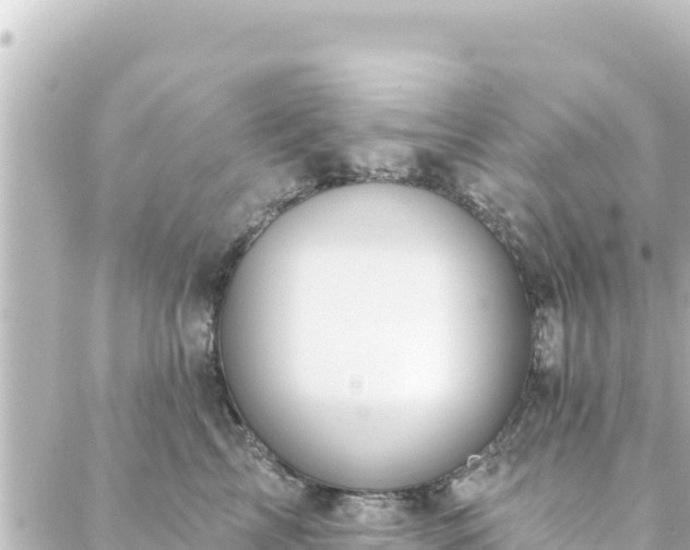 X0000088430713200705291525