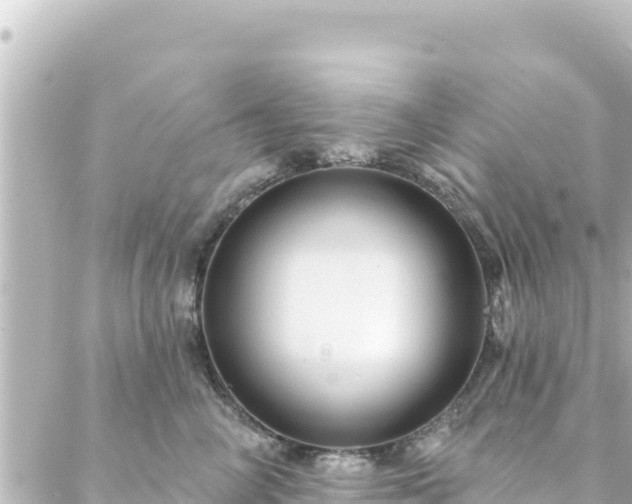 X0000088430714200705291525