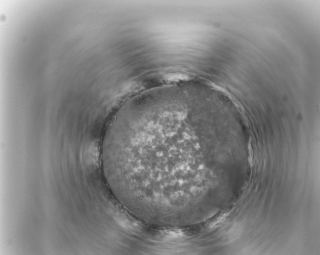 X0000088430715200705291525