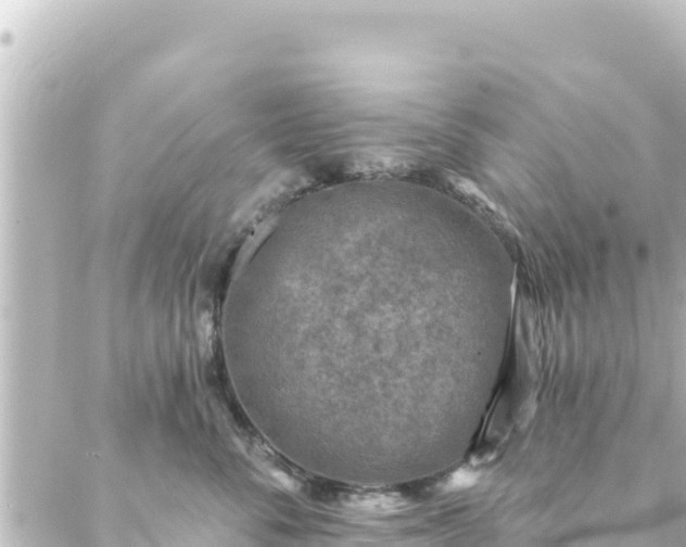 X0000088430716200705291525