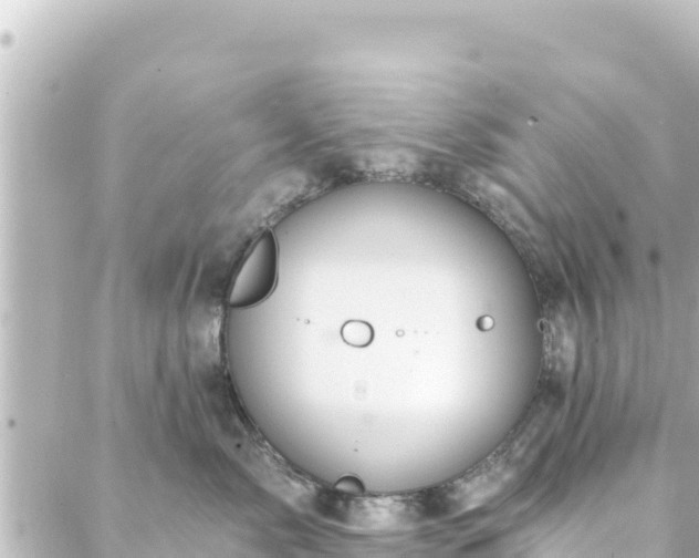 X0000088430717200705291525