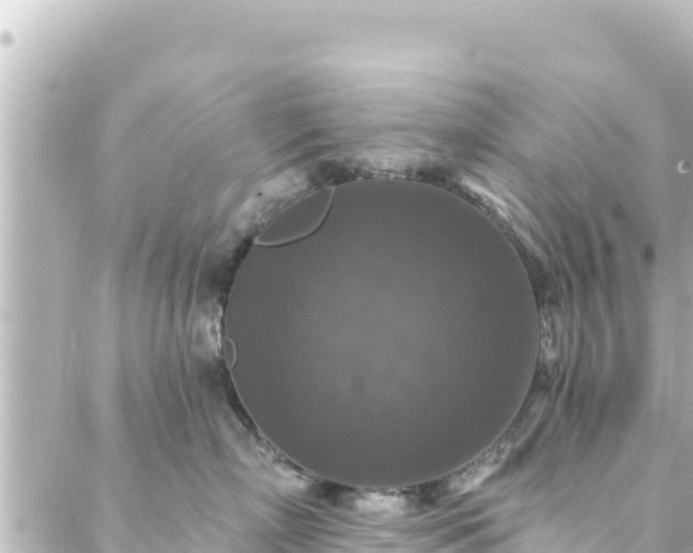 X0000088430718200705291525