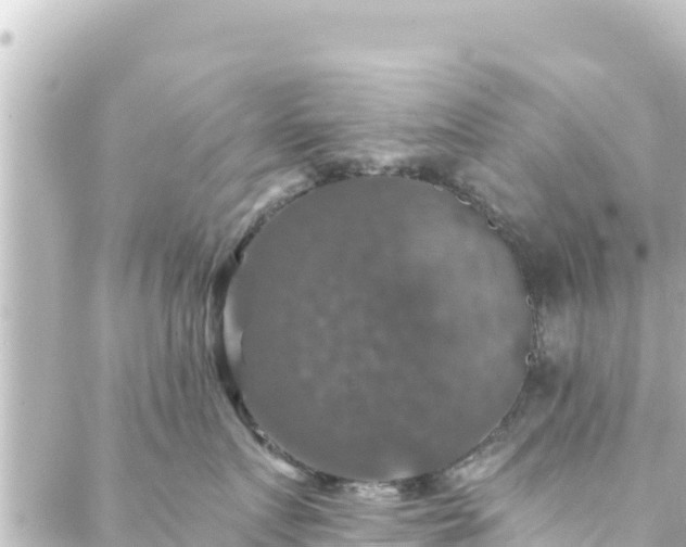 X0000088430719200705291525