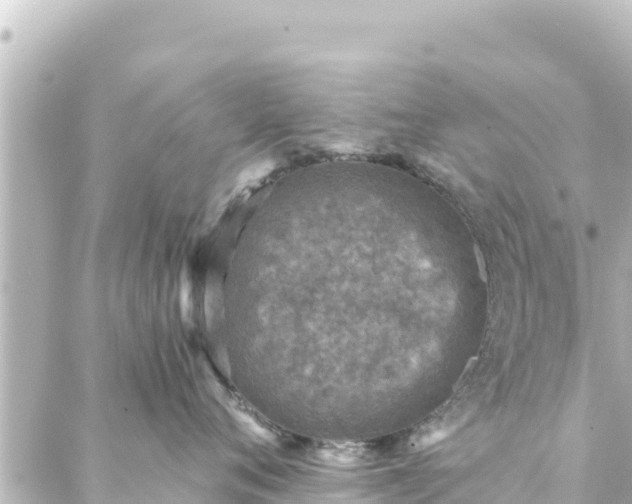 X0000088430720200705291525