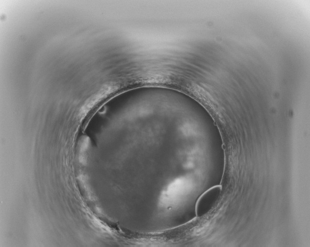 X0000088430721200705291524