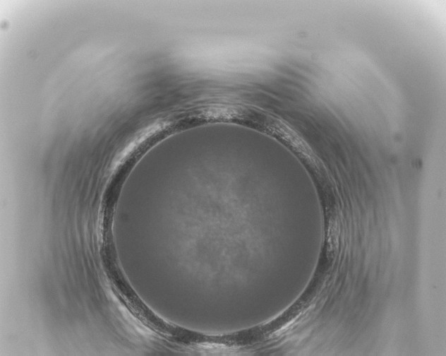 X0000088430722200705291524