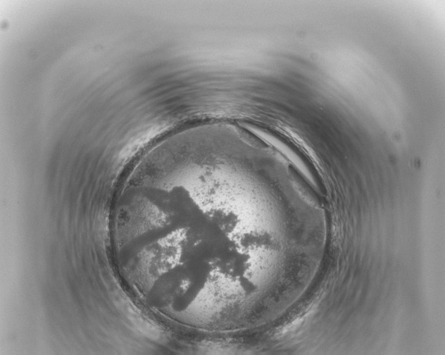 X0000088430725200705291524