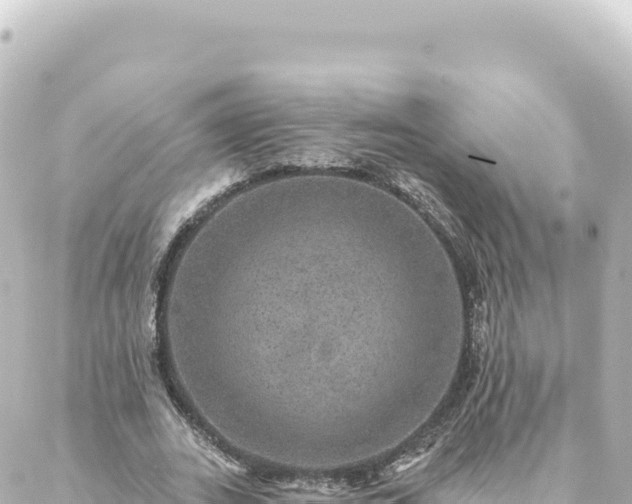 X0000088430727200705291524