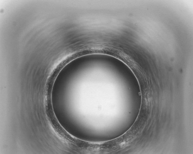 X0000088430728200705291524