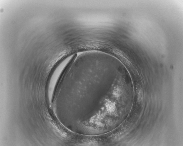 X0000088430729200705291524