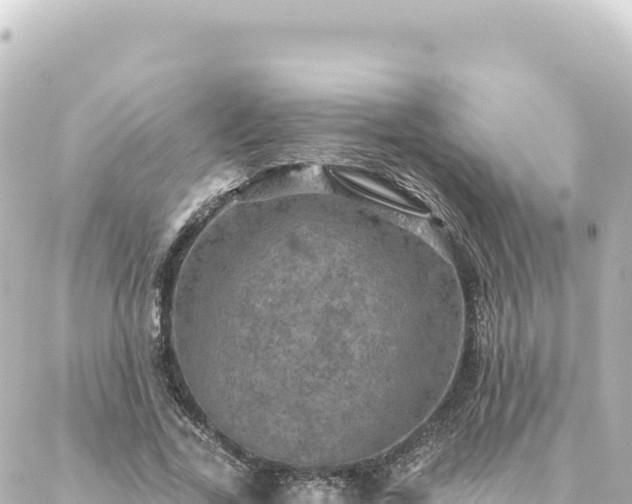 X0000088430731200705291524