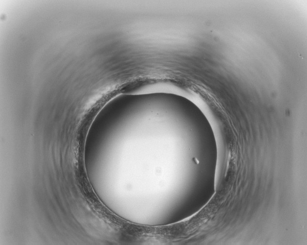 X0000088430732200705291524