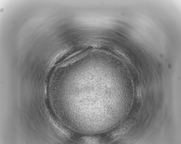 X0000088430733200705291524