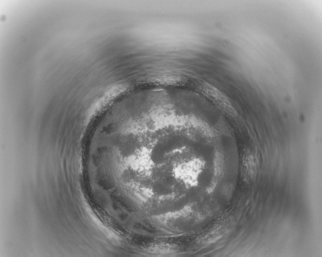 X0000088430734200705291524