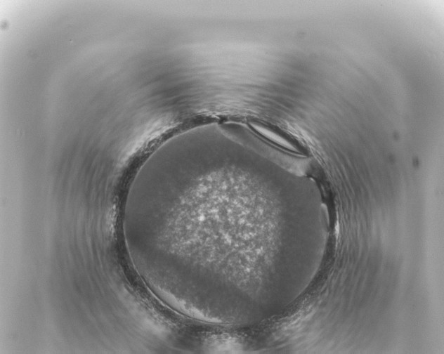 X0000088430735200705291524