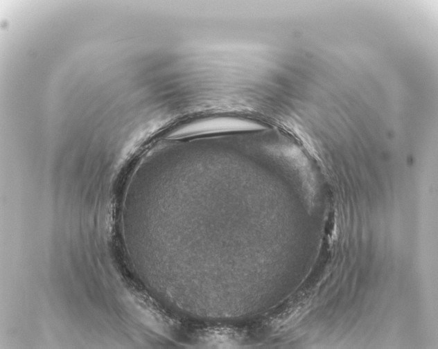 X0000088430736200705291524