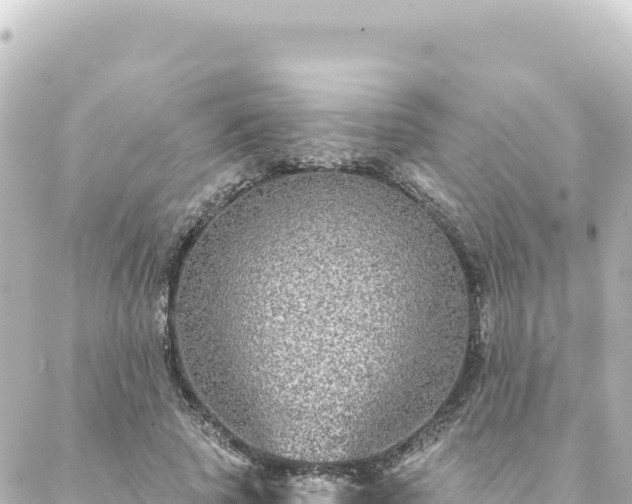 X0000088430737200705291524