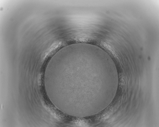 X0000088430738200705291524