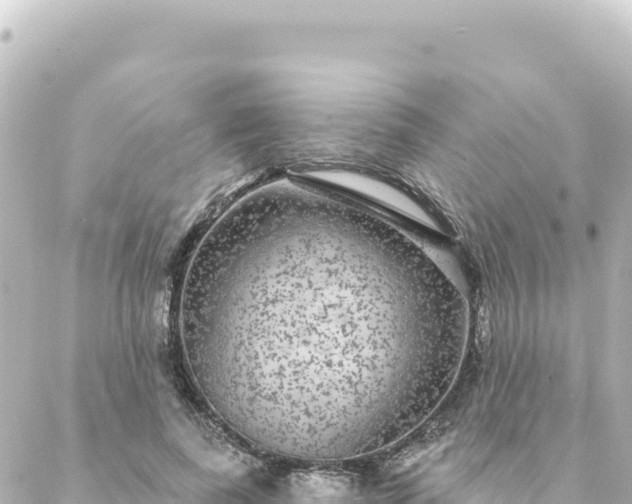 X0000088430739200705291524