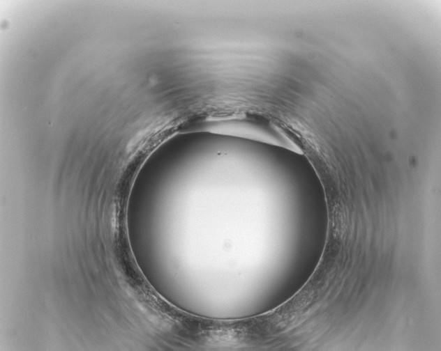 X0000088430740200705291524