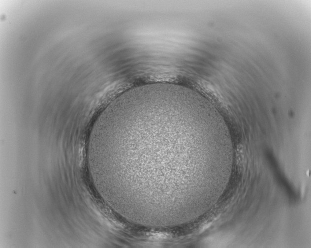 X0000088430741200705291524