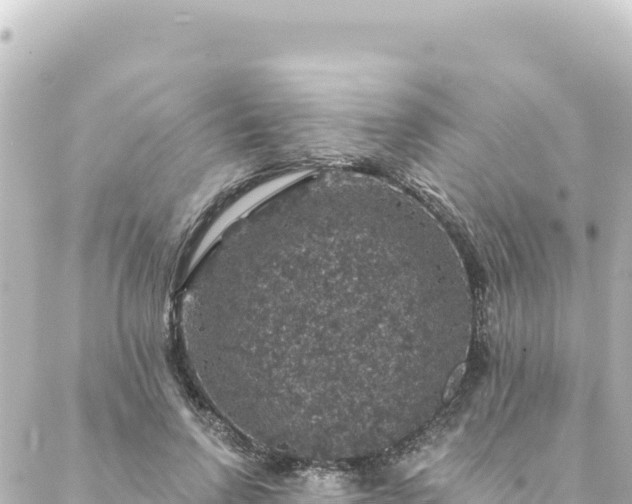 X0000088430742200705291524