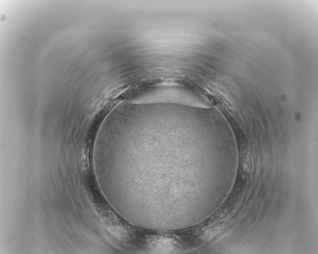 X0000088430743200705291524