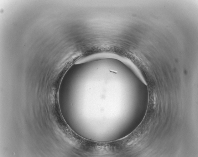 X0000088430744200705291524