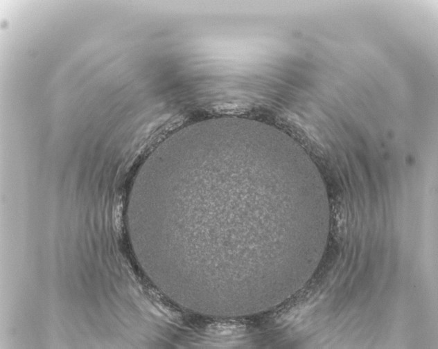 X0000088430745200705291524