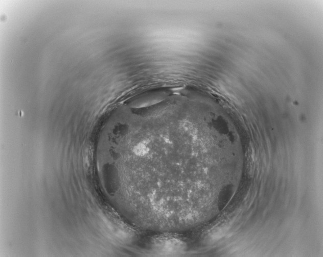 X0000088430747200705291524