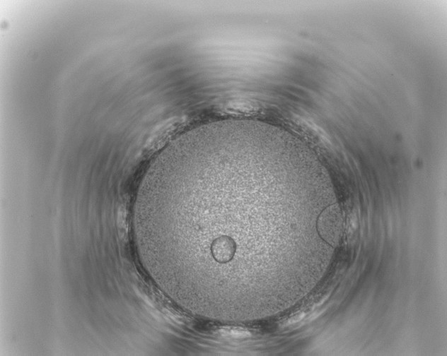 X0000088430749200705291524