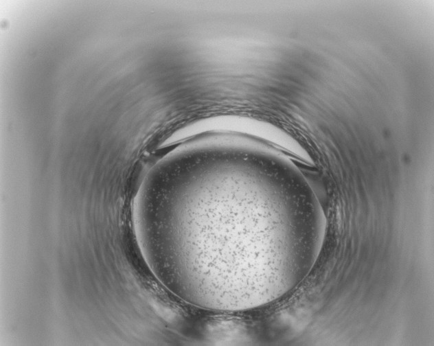 X0000088430750200705291524