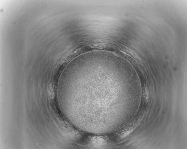 X0000088430751200705291524