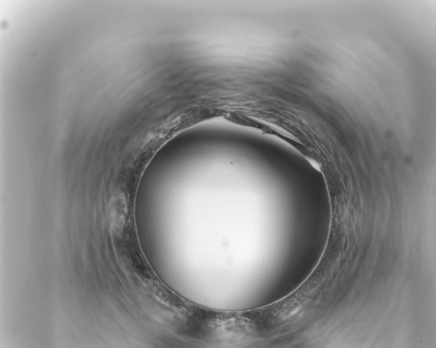 X0000088430752200705291524