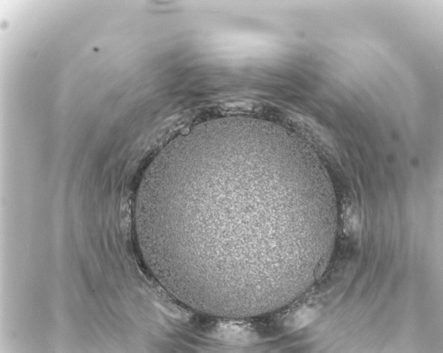 X0000088430753200705291525