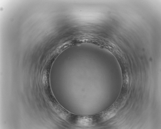 X0000088430754200705291525