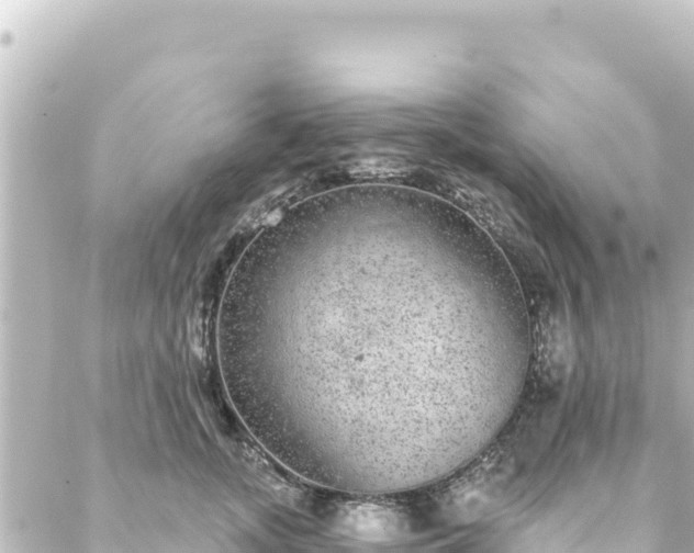 X0000088430755200705291525