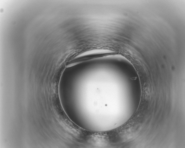 X0000088430756200705291525