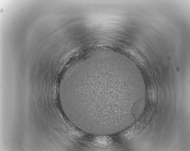 X0000088430757200705291525