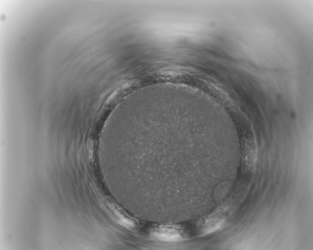 X0000088430758200705291525