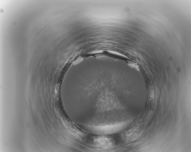 X0000088430759200705291525