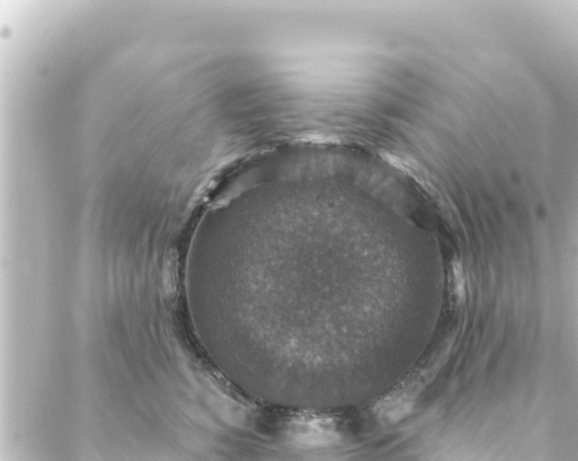 X0000088430760200705291525