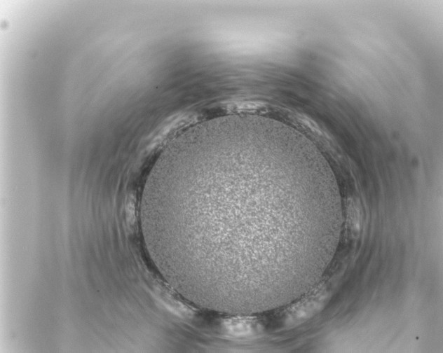 X0000088430761200705291525