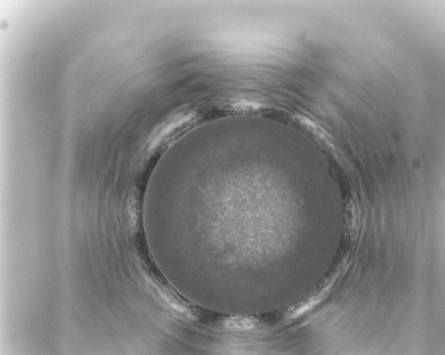 X0000088430762200705291525