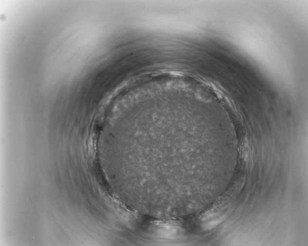 X0000088430763200705291525