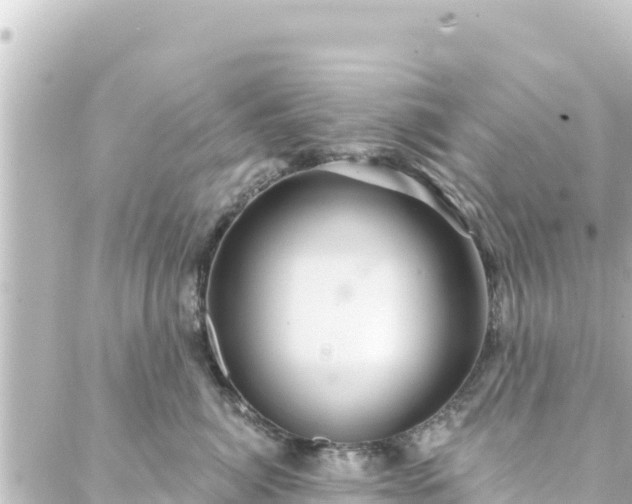 X0000088430764200705291525